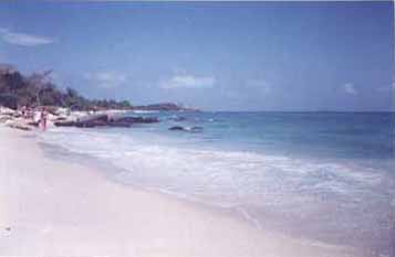 sametislands1.jpg (5733 bytes)
